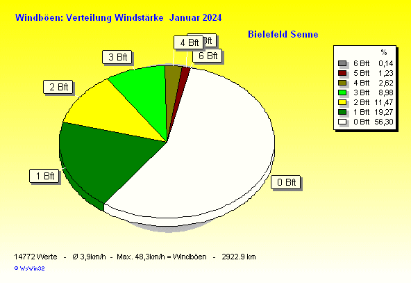 Windstärke im Januar 2024